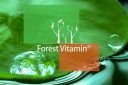 Вітамінно-Мінеральні Препарати Forest Vitamin 100G