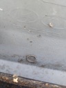 HYUNDAI I30 НАКЛАДКА НАКЛАДКА КРИШКИ БАГАЖНИКА ЗАД Z LSTWA КРІПЛЕННЯ 87371-A6200  фото 5