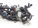 ПРОВОДКА ЕЛЕКТРИЧНА КОМПЛЕКТ ПРОВОДІВ PIAGGIO MP3 300 HPE SPORT 19-24  фото 9