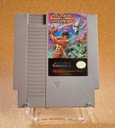Wizards & Warriors (NES | NTSC-USA)