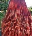 Ibištek (H. sabdariffa) prášok kysnutie 100g Farba na farbenie vlasov červená a zázvorová
