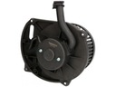 MOTOR SOPLADORES THERMOTEC DDY005TT 