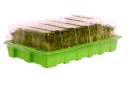 МИНИ-ТЕПЛИЦА ПРОСТОЯЩАЯ СЕЯЛКА GRIVER 24 камеры 5x5см