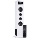 Акустическая колонка Auna Karaboom 100 WiFi, DAB+ BT