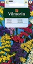 Portulaka mnohokvetá zmes 0.5g Latinský názov pulsatilla vulgaris