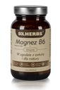 SOLHERBS MAGNEZ B6 60kaps Forma kapsuly