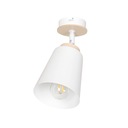 ПОТОЧНО-ГАЛОГЕННЫЙ ПОТОЛОЧНЫЙ СВЕТИЛЬНИК ATLAS LED EMIBIG