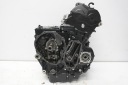 TRIUMPH TIGER 900 RALLY PRO 20- ДВИГУН  фото 6