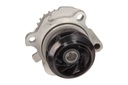 INA 538003810 PUMP WATER AUDI 