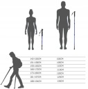 NORDIC WALKING STICKS TEKKING STICKS 2 шт ЦВЕТА