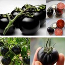 Pomidor koktajlowy black cherry 0,2g Marka Roltico