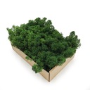 Мох крабовый Альпийский Премиум 50г нетто