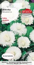 Semená Sedmokráska veľkokvetá biela - Torseed