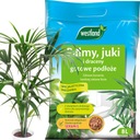 Субстрат Серамис для Juk Palm Dracen 4 л WESTLAND