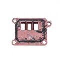 MEMBRANE DO SUZUKI RC80  photo 5