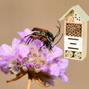 Отель для насекомых, Деревянный дом, Дом для пчел, Бабочки, Каменное растение, Кормушка