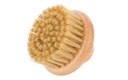 Szczotka miękka z włosia dzika do masażu mycia peelingu ciała pleców GORGOL EAN (GTIN) 5907693803633