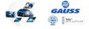 ZAPAĽOVACIA CIEVKA GAUSS GC4880 Výrobca dielov Gauss