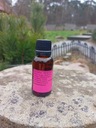 WYCIĄG ŻOŁĄDKOWY KROPLE ŻOŁĄDKOWE EKOWYTWÓRNIA 20ML