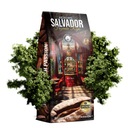 Кофе в зернах SALVADOR FAZENDA ROJA - Fusion Edition 1кг Blue Orca Coffee