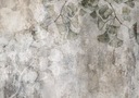FOTOTAPETA MIŁORZĄB NATURA LIŚCIE BETONOWE TŁO 500x350 f-C-0454-a-a