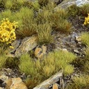 Gamers Grass: Set — Highland Tuft (Wild)