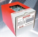 ASTRA ШУРУП ПО ДЕРЕВУ Белый оцинкованный 4,0х20 100 шт.