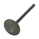 ВЕСРА ГГ-2031-ИН