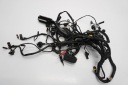 BMW F 650 GS K72 06-12 ПРОВОДКА КОМПЛЕКТ ПРОВОДІВ ГОЛОВНА  фото 8