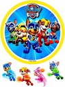 ТОРТ PAW PATROL MIGHTY PUPS, ТОЛЩИЙ, 20 СМ