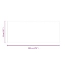 VIDAXL PANNEAU KOMINKOWY, VERRE PROSTOKATNY, 120X50 CMphoto 9