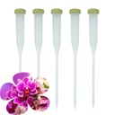 5x FIOLKA Z GUMKĄ DO ŻYWYCH KWIATÓW ROŚLIN 18 cm