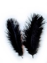 ПЕРА СТРАУСА - ЧЕРНЫЕ 15/20СМ