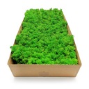 Альпийский мох 500г.