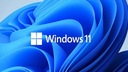 Коробочная версия Microsoft Windows 11 HOME PROFESSIONAL