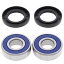 ПОДШИПНИКИ ПЕРЕДНИХ СТУПЕНЕЙ ALLBALLS SUZUKI GSX650F '08-09