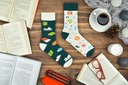 Farebné ponožky SPOXSOX Knihy 40-43 Počet kusov v súprave 1