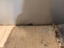 DOOR REAR LEFT INSIGNIA A 08-16R Z167 HATCHBACK  photo 11