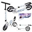 ДВУХКОЛЕСНЫЙ СКЛАДНОЙ СКУТЕР, ТОРМОЗ, ЗАМОРОЖЕННАЯ НОГА