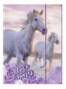 ФАЙЛ С ЛАСТИКОМ A4 HORSES 25 DERFORM