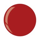 CUCCIO DIP Титановый порошок - Rock Solid 3361 - 14г