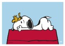 Настольный коврик Snoopy 49,5x34,5 см Настольный коврик для детей