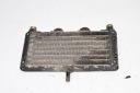 YAMAHA XJ 900 31A 4BB 83-94 РАДІАТОР МАСТИЛА  фото 8