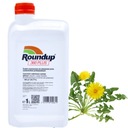 ROUNDUP 360 PLUS GLYPHOSATE RANDAP ГЕРБИЦИДНЫЙ ГЛИФОСАТ ДЛЯ СОРНЯКОВ 1л