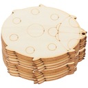 КАРТОННАЯ ЩЕПКА РУКОВОДСТВО ПО НАСЕКОМЫМ