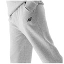 Spodnie dresowe chłopięce 4F dziecięce sportowe bawełniane na co dzień Rozmiar (new) 140 (135 - 140 cm)