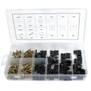 ВИНТЫ, ШАЙБЫ КУЗОВА, НАБОР 170 ШТ.