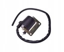 COIL IGNITION FOR PIAGGIO 826115 photo 1 - milautoparts-fr.ukrlive.com