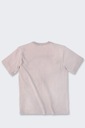 CARHARTT koszulka z kieszonką t-shirt K87 Mink L Kod producenta 103296