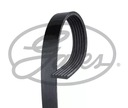 GATES BELT W/KLINOWY 6PK1655 photo 2 - milautoparts-fr.ukrlive.com